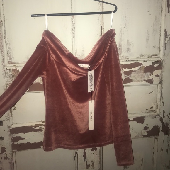 Aritzia Talula pink velvet shirt - Picture 3 of 5
